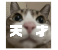839658796