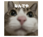 839658797