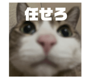 839658798