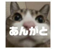 839658801