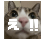 839658806