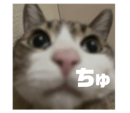 839658808