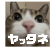 839658812