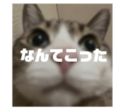 839658814