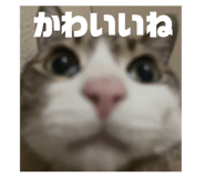 839658815