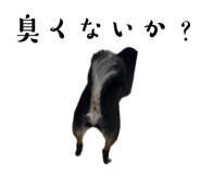 839659011