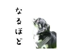 839659023
