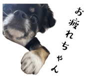 839659035