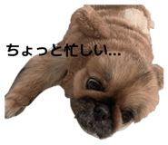 839659461