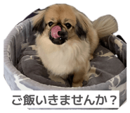 839659462