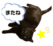 839659899