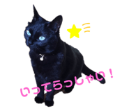 839659903