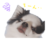 839660231