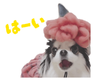 839660247