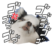 839660249