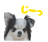 839660251