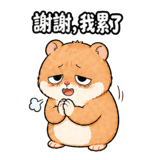 839660923