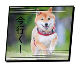839661407
