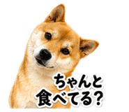 839661850