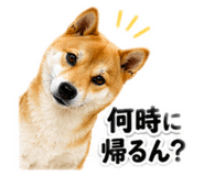 839661851
