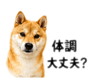 839661853