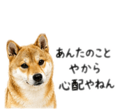 839661856