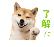 839661891