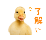839661895