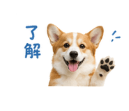 839661904