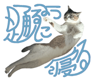 839661936