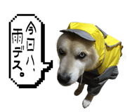 839661939