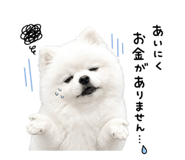 839662120