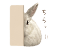 839662228
