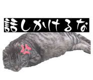 839662810