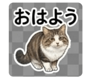 839663041