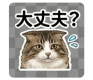 839663046