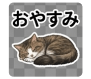 839663047