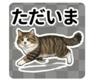 839663051