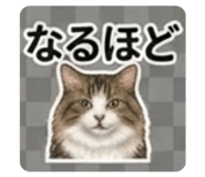 839663057