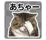 839663059
