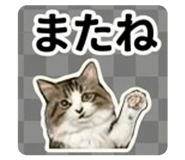 839663063