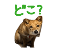 839663234