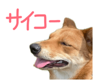 839663242