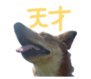 839663250