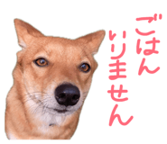 839663256