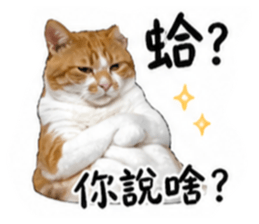 839663428