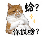 839663428