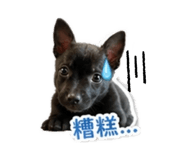 839663764