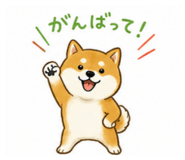 839665011
