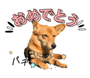 839665145